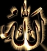 نبيل999999 أنا أبن حلال من اليمن أبحث عن زوجة - موقع زواج عرسان نبيل999999 أنا أبن حلال من اليمن أبحث عن زوجة - موقع زواج عرسان